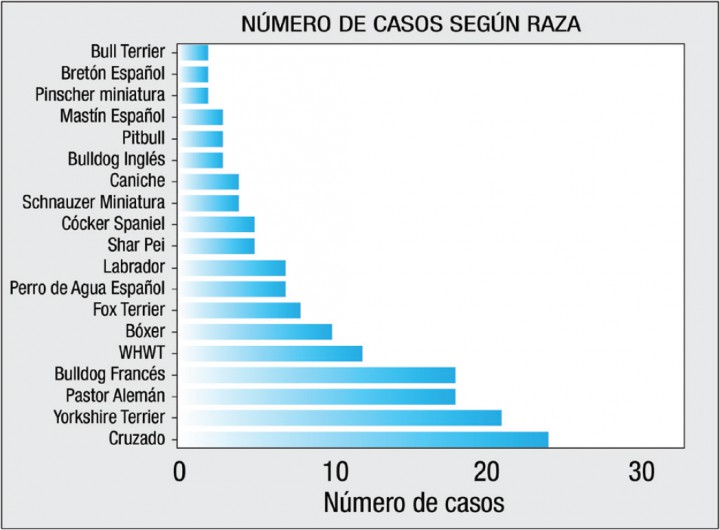 <p>Distribución, según su raza, de los perros incluidos en el estudio. Las razas representadas por un solo animal (n=18) no han sido incluidas.</p>
