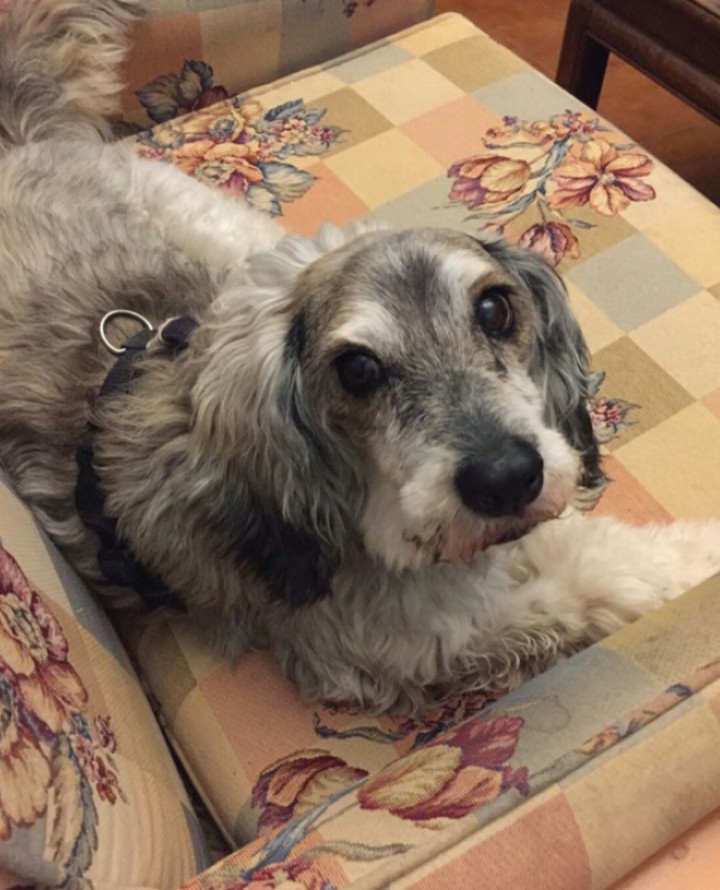 <p>A los 3 meses de finalizar el tratamiento el pelo había vuelto a crecer en la zona irradiada.</p>