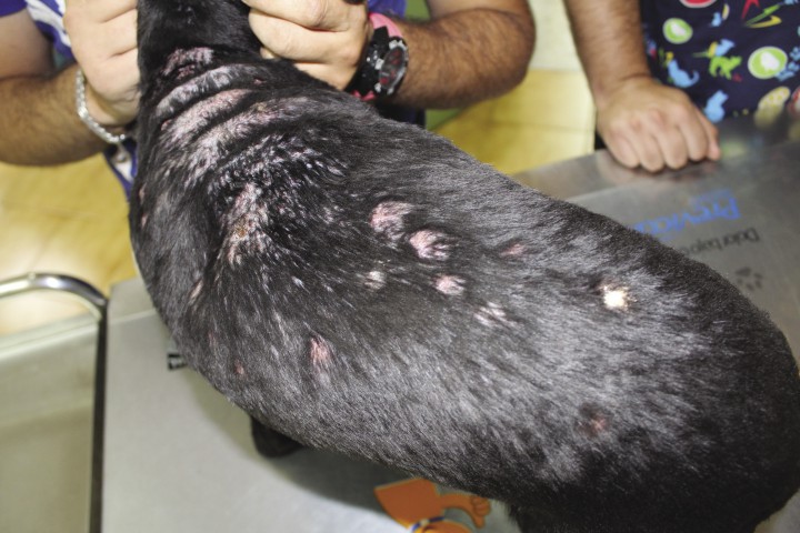 <div class=\"Basic-Text-Frame\">
<p>Imagen del caso 1, el más grave, a los 30 días.</p>
</div>