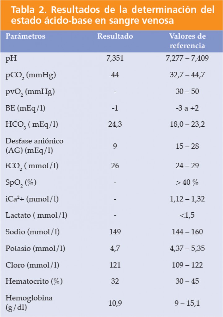<div class=\"Basic-Text-Frame\">
<p>pCO<sub>2</sub>: presión parcial de dióxido de carbono (venosa); pvO<sub>2</sub>: presión parcial de oxígeno (venosa); BE: exceso de bases; tCO<sub>2</sub>: concentración de dióxido de carbono total; SpO<sub>2</sub>: saturación de oxígeno; iCa<sub>2</sub>+: calcio ionizado.</p>
</div>
