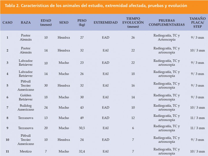 <p>EAD: Extremidad anterior derecha, EID: Extremidad anterior izquierda, TC: Tomografía computarizada</p>
