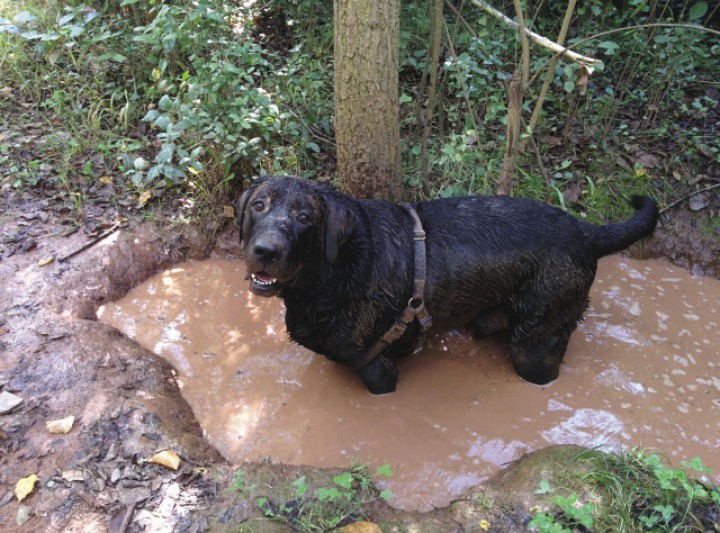 <p>El paciente en la época que fue referido.</p>