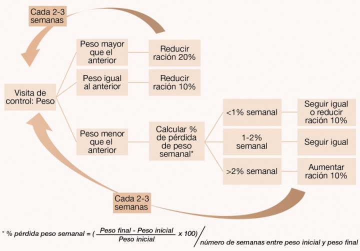 <p>Proceso de toma de decisiones durante las visitas de seguimiento en el tratamiento de la obesidad.</p>
