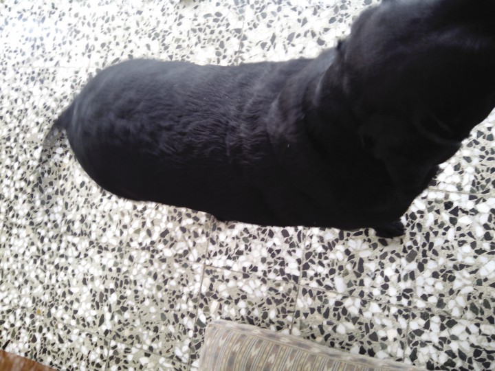 <p>Imagen del paciente a los 3 meses de tratamiento.</p>