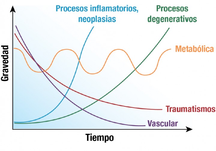 <p>Progresión de los signos clínicos a lo largo del tiempo en función de la causa de la alteración neurológica (fuente: Imagen Platt & Olby 2004).</p>