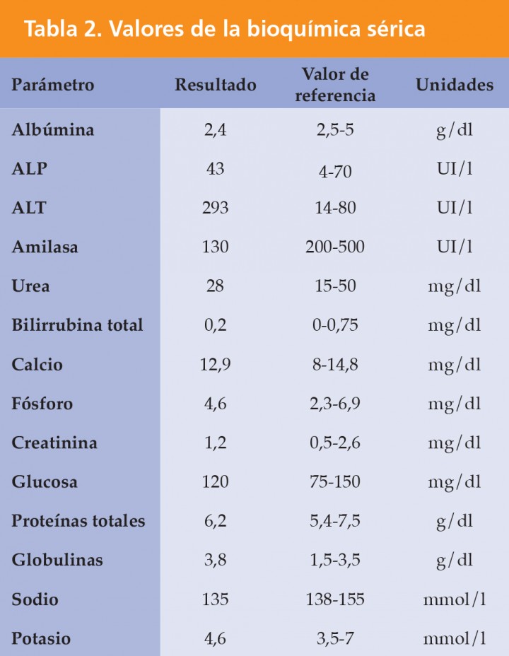 <p>ALT: alanina aminotransferasa; ALP: fosfatasa alcalina.</p>