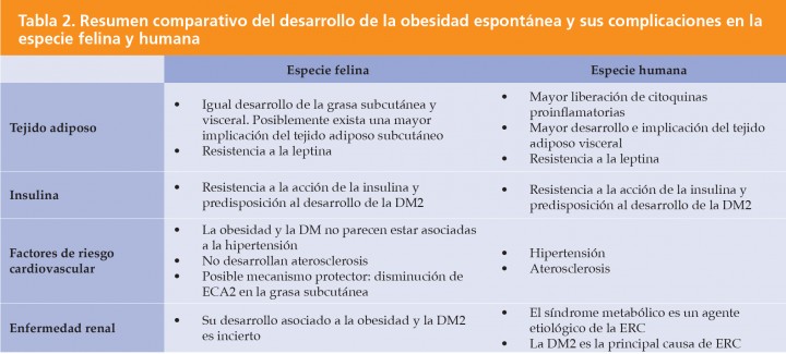 <div>
<p>ECA2: enzima convertidora de angiotensina 2; DM2: <em>diabetes mellitus</em> tipo 2; ERC: enfermedad renal crónica.</p>
</div>