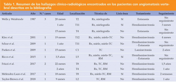 <p>Rx: Radiografía; TC: Tomografía Computarizada; mielo-TC: TC tras la administración de contraste intratecal; RM: Resonancia Magnética.</p>