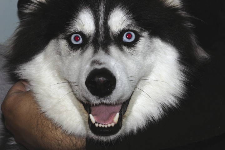 <p>Aspecto al mes de tratamiento.</p>