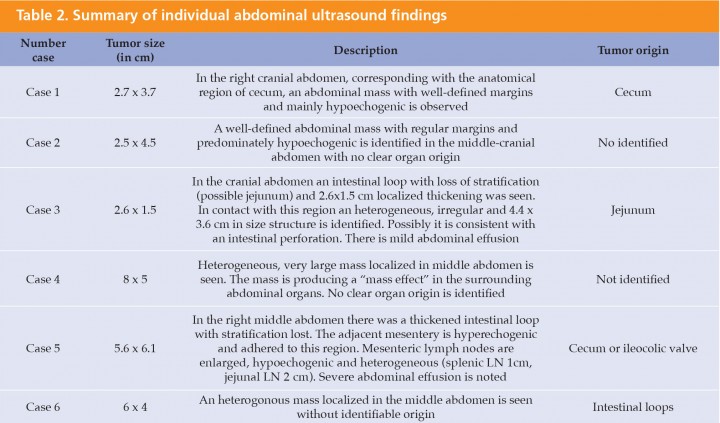 <p>LN: lymph nodes.</p>