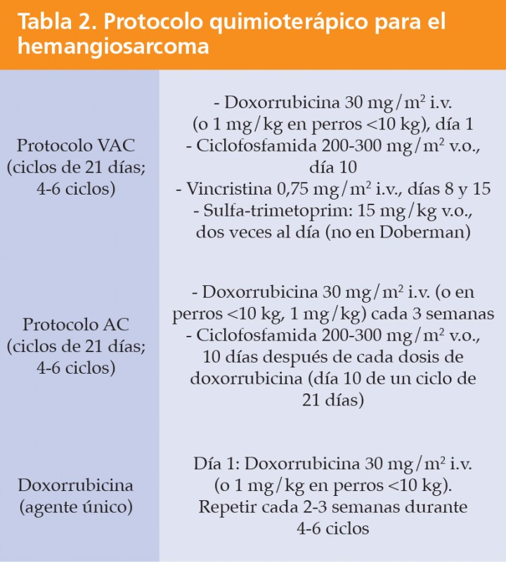<div class=\"Basic-Text-Frame\">
<p>VAC: protocolo con vincristina, doxorrubicina, ciclofosfamida; AC; protocolo con doxorrubicina, ciclofosfamida; v.o.: vía oral; i.v. intravenosa.</p>
</div>