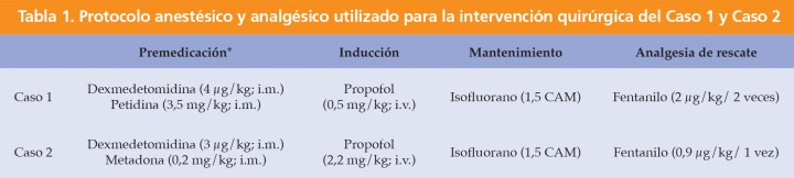 <div class=\"Basic-Text-Frame\">
<p>*Medicación administrada combinada en una sola jeringuilla. i.m.: intramuscular; i.v.: intravenoso; CAM: concentración alveolar mínima.</p>
</div>