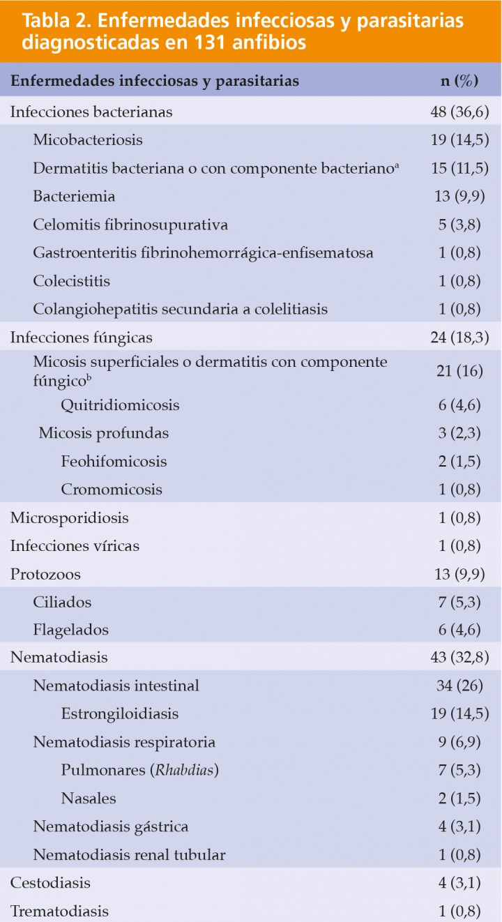 <p>a Están incluidos los anfibios con dermatitis causada por micobacterias.</p>

<p>b En algunos de los anfibios incluidos no se pudo descartar que estas micosis correspondieran a colonización fúngica posterior a la muerte.</p>

<p>Nota: algunos pacientes estaban afectados por dos o más de estos procesos.</p>