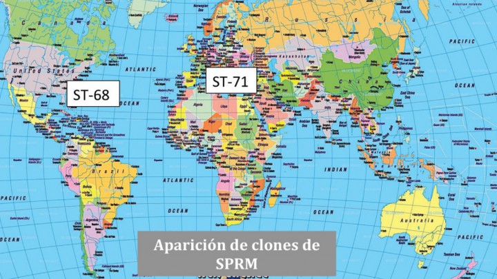 <p>Epidemiología del SPRM. Distribución geográfica de los clones ST-68 y ST-71.</p>