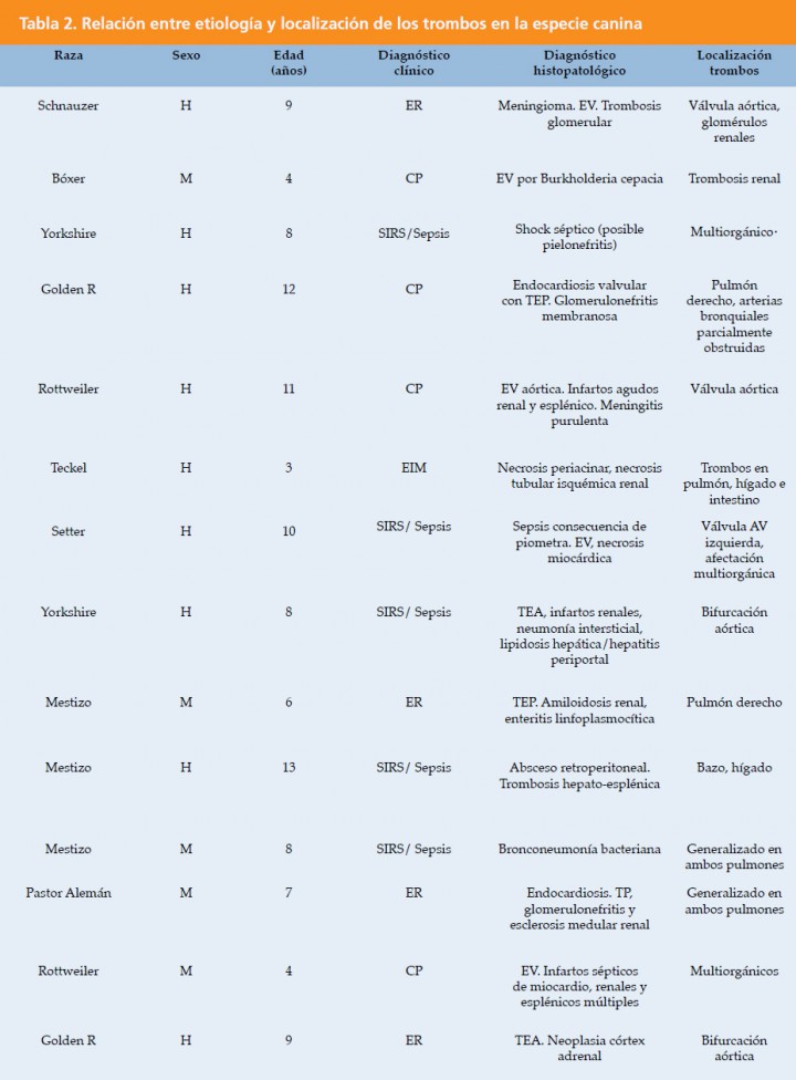 <p>M: macho, H: hembra, ER: nefropatía perdedora de proteínas, CP: cardiopatía, EIM: enfermedad inmunomediada, EV: endocarditis valvular, SIRS: síndrome de respuesta inflamatoria sistémica, TEA: tromboembolismo aórtico, TP: trombos pulmonares. TEP: tromboembolismo pulmonar.</p>