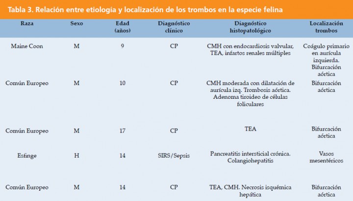 <p>M: macho, H: hembra, CP: cardiopatía, CMH: cardiomiopatía hipertrófica, EV endocarditis valvular, SIRS: síndrome de respuesta inflamatoria sistémica, TEA: tromboembolismo aórtico.</p>