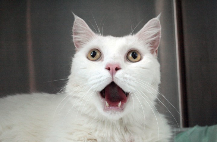 <p>Imagen de un paciente que presenta menor tolerancia al estrés.</p>