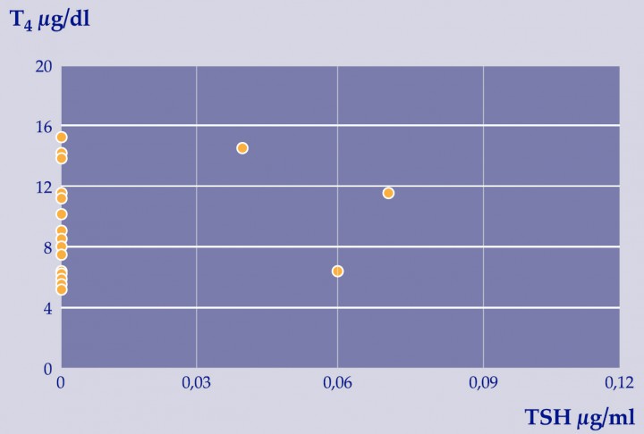 <p>Valores de T<sub>4</sub> y TSH para los gatos hipertiroideos.</p>