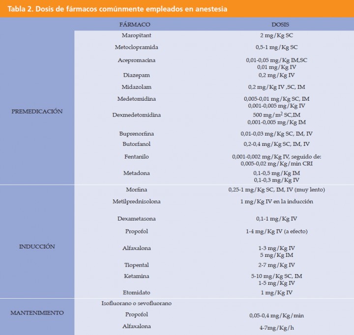 <p>IM: Intramuscular, SC: subcutáneo, IV: endovenoso. Las dosis de fármacos IV determinarlas siempre a efecto</p>