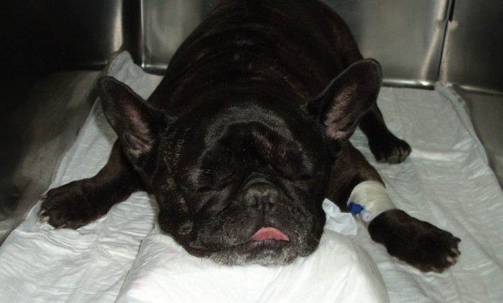 <p>Recuperación post-extubación.</p>