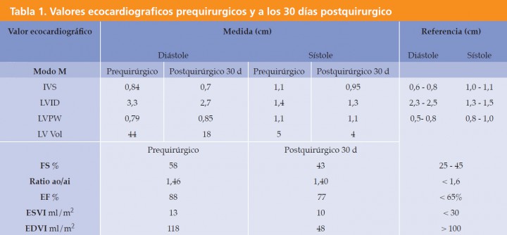 <div class=\"Basic-Text-Frame\">
<p>IVS: Septo interventrícular en sístole. LVID: Diámetro ventricular izquierdo. LVPW: Pared libre ventricular izquierda. LV Vol: Volumen ventricular izquierdo. FS %: Fracción de acortamiento. Ratio ao/ai: Ratio aorta aurícula izquierda. EF %: Fracción de eyección. ESVI: Indice volumetrico telesistólico final. EDVI Indice volumétrico telediastólico final.</p>
</div>
