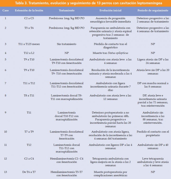 <p>DP: Déficits posturales, MMPP: Miembros pélvicos, BID: cada 12 horas, PO: Per os. NP: no procede.</p>