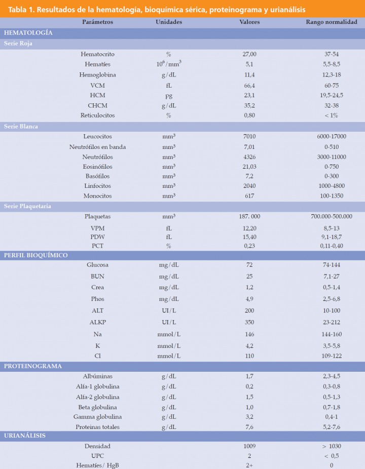 <p>VCM: volumen corpuscular medio, HCM: hemoglobina corpuscular media, CHCM: Concentración de hemoglobina corpuscular media, VPM:Volumen plaquetario medio, PDW: anchura de distribución de las plaquetas, PCT: plaquetocrito, BUN: nitrógeno uréico en sangre, Crea: creatinina sérica, Phos: fósforo en sangre, ALT: alanino aminotransferasa, ALKP: Fosfatasa alcalina plasmática, UPC: índice proteina/creatinina urinarias, HgB: Hemoglobina.</p>