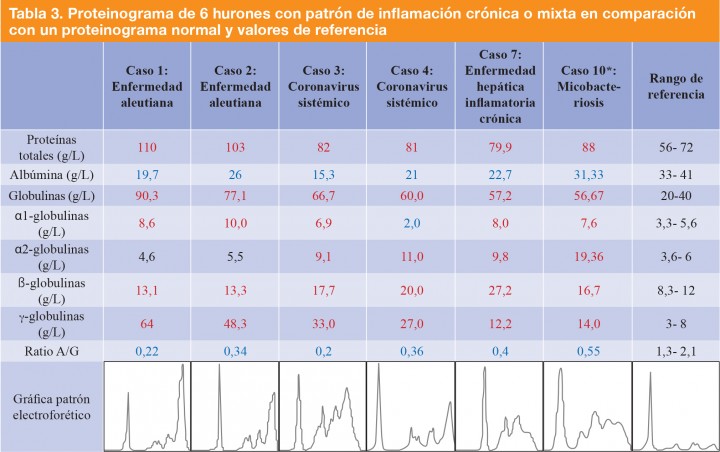 <div class=\"Basic-Text-Frame\">
<p>Los valores en azul indican una cifra por debajo del rango de referencia y en rojo por encima del rango.</p>

<p>*Proteinograma realizado con gel de agarosa.</p>
</div>
