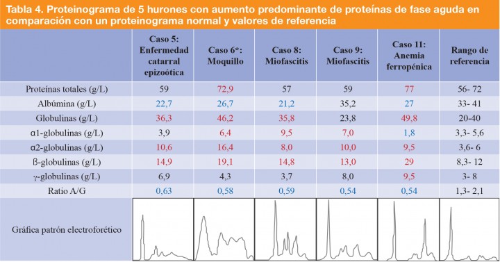 <div class=\"Basic-Text-Frame\">
<p>Los valores en azul indican una cifra por debajo del rango de referencia y en rojo por encima del rango.</p>

<p>*Proteinograma realizado con gel de agarosa.</p>
</div>