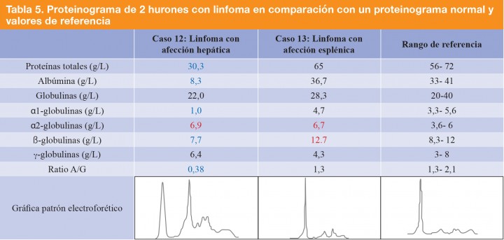 <div class=\"Basic-Text-Frame\">
<p>Los valores en azul indican una cifra por debajo del rango de referencia y en rojo por encima del rango.</p>
</div>