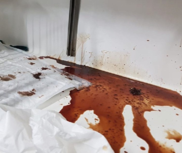 <p>Diarrea hemorrágica en un paciente canino con parvovirus.</p>