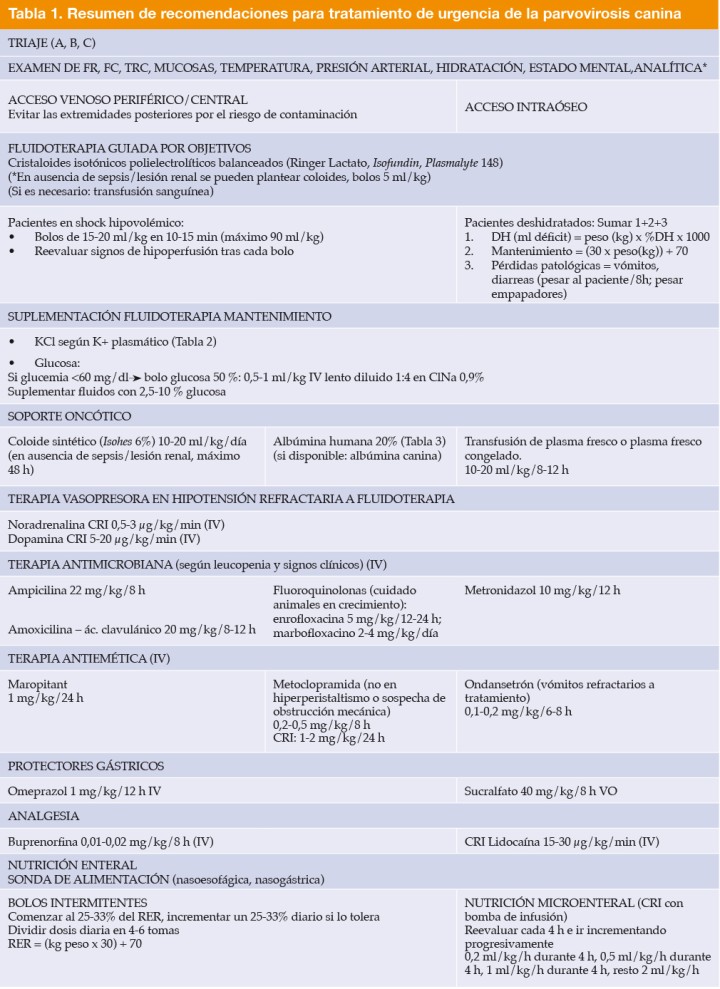<p>*La analítica debería incluir: hemograma, bioquímica básica, iones, gasometría y lactato y, en cuanto sea posible, test de parvovirosis. FR: frecuencia respiratoria, FC: frecuencia cardiaca, CRI: perfusión a ritmo constante, DH: deshidratación, RER: requerimiento energético en reposo, IV: intravenoso, VO: vía oral.</p>