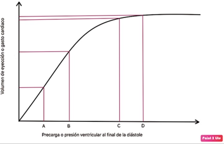 <p>La curva de Frank-Starling relaciona precarga con volumen sistólico (VS) y determina dos zonas: zona de precarga-dependencia y zona de precarga-independencia. Un pequeño aumento de precarga en zona de precarga-dependencia (de A hacia B) va a provocar un gran cambio en el VS. Por el contrario, un aumento de precarga en zona de precarga-independencia (de C hacia D) resultará en leves o nulos cambios en el VS.</p>
