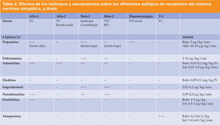 <p>VC: vasoconstricción; VD: vasodilatación; BD: broncodilatación; Inf: infusión. Tabla extraída del libro Johnson, Rebecca A., Lindsey BC Snyder, and Carrie A. Schroeder, eds. <em>Canine and Feline Anesthesia and Co-Existing Disease</em>. John Wiley & Sons, 2022.</p>