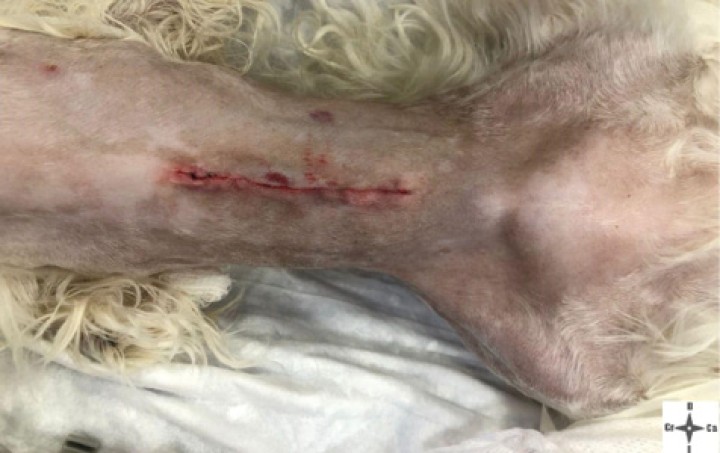 <p>Área quirúrgica una vez finalizado el procedimiento quirúrgico.</p>