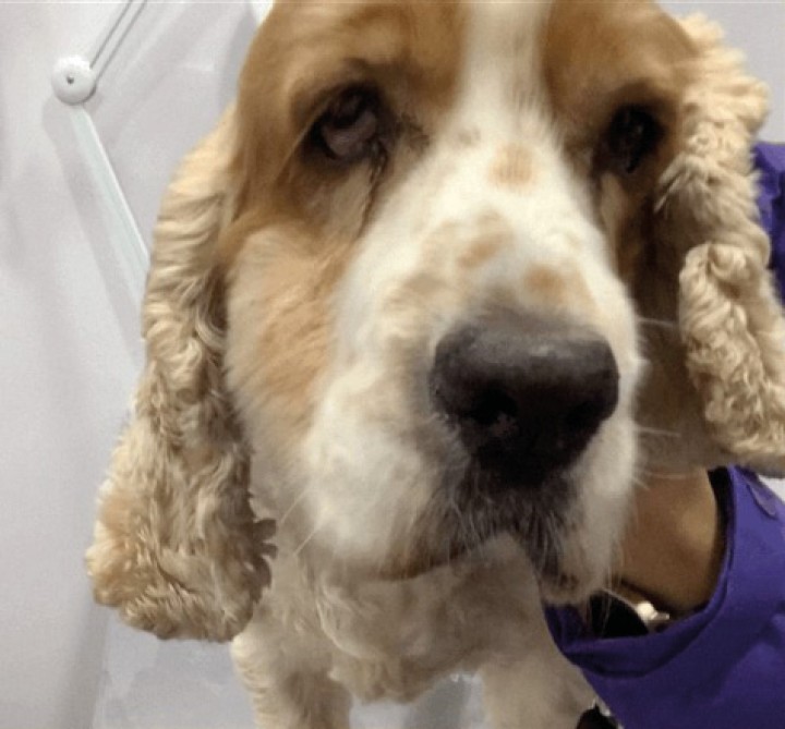 <p>El paciente tras 6 semanas de tratamiento.</p>