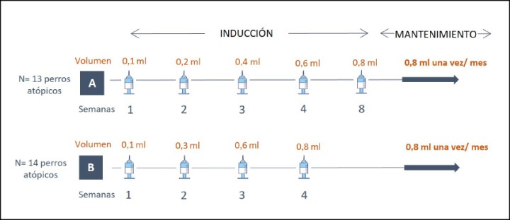 <p>Protocolos de inducción rápida de la inmunoterapia subcutánea. El protocolo A consistía en una fase de inducción de 8 semanas y en el protocolo B era de 4 semanas.</p>