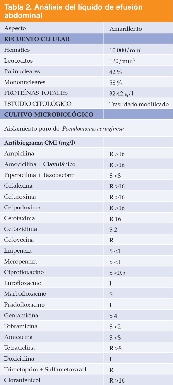 <div class=\"Basic-Text-Frame\">
<p>R= resistente; S=sensible; I=intermedio; CMI= concentración mínima inhibitoriaasa.</p>
</div>
