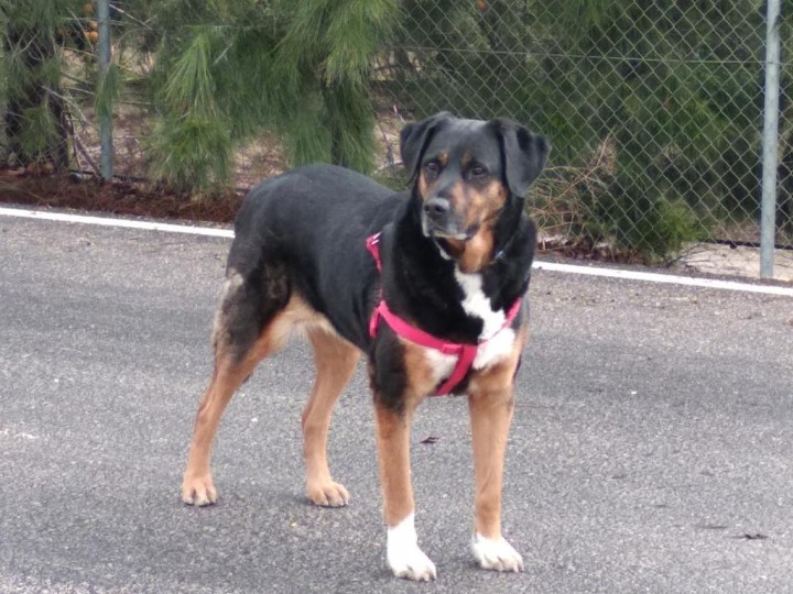 Paciente sometida a la exéresis.