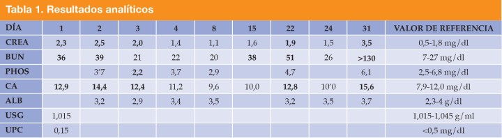 En negrita aparecen los valores fuera de rango.CREA: creatinina; BUN: nitrógeno ureico en la sangre; PHOS: fósforo; CA: calcio; ALB: albúmina; USG: gravedad específica de la orina; UPC: ratio proteína creatinina.