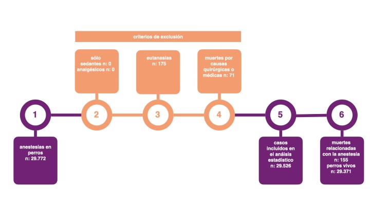Diagrama de flujo de la selección/exclusión de los casos.