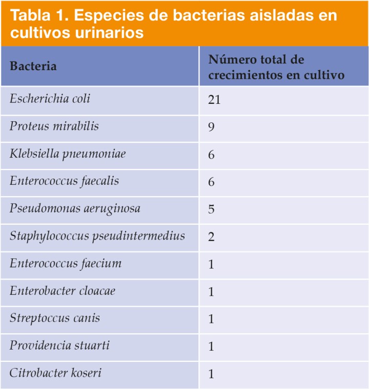 Nota: Se incluyen los cultivos con coinfecciones.