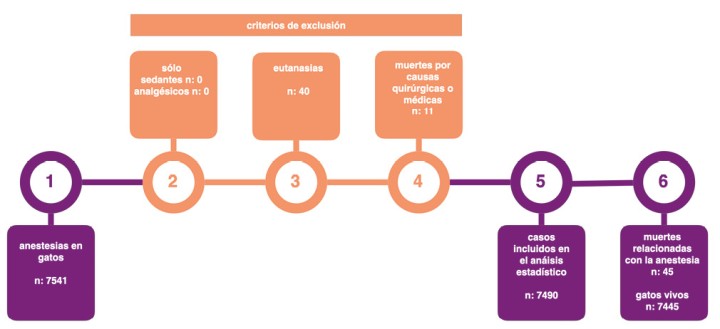Diagrama de flujo de la selección/exclusión de los casos.