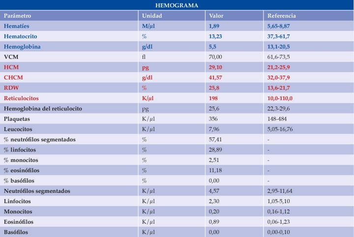 VCM: volumen corpuscular medio; HCM: hemoglobina corpuscular media; CHCM: concentración de hemoglobina corpuscular media; RDW:&nbsp;red cell distribution width. En azul aparecen los valores disminuidos y en rojo los aumentados.