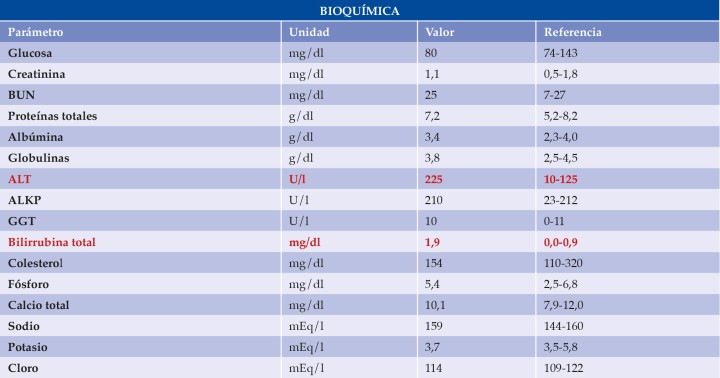 BUN:&nbsp;blood urea nitrogen; ALT: alanino aminotransferasa; ALKP: fosfatasa alcalina; GGT: gamma glutamiltransferasa. En rojo aparecen los valores aumentados.