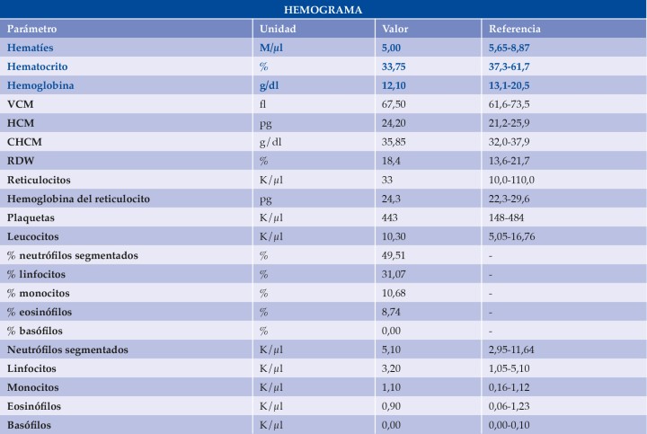 VCM: volumen corpuscular medio; HCM: hemoglobina corpuscular media; CHCM: concentración de hemoglobina corpuscular media; RDW:&nbsp;red cell distribution width. En azul aparecen los valores disminuidos.&nbsp;