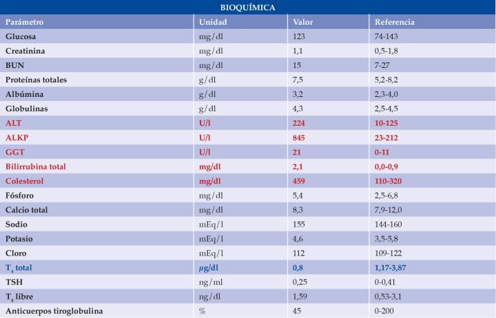 BUN:&nbsp;blood urea nitrogen; ALT: alanino aminotransferasa; ALKP: fosfatasa alcalina; GGT: gamma glutamiltransferasa; T4: tiroxina; TSH:&nbsp;thyroid-stimulating hormone. En azul aparecen los valores disminuidos y en rojo los aumentados.&nbsp;