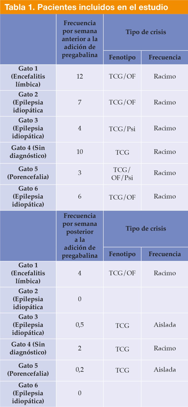 TCG: tónico-clónica generalizada; OF: orofaciales; Psi: psicogénicas; Racimo: más de una crisis en 24 h con recuperación de consciencia entre ellas; Aislado: una única crisis en 24 h.