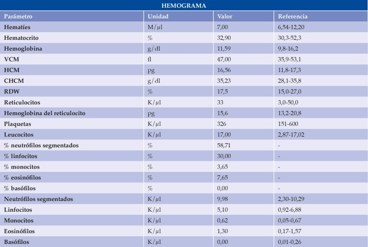 <p>VCM: volumen corpuscular medio; HCM: hemoglobina corpuscular media; CHCM: concentración de hemoglobina corpuscular media; RDW: <em>red cell distribution width.</em></p>