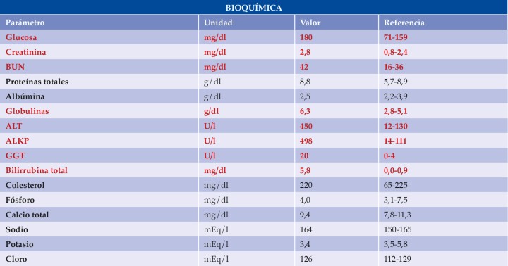 <p>BUN: <em>blood urea nitrogen</em>; ALT: alanino aminotransferasa; ALKP: fosfatasa alcalina; GGT: gamma glutamiltransferasa. En rojo aparecen los valores aumentados</p>
